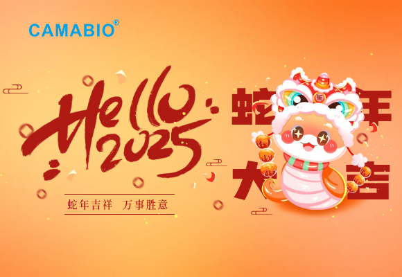 2025蛇年新年春节联欢晚会祝福展板.png